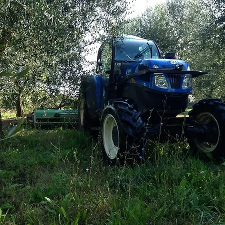 Fattoria Lucciano Feriegård Borghetto (Lazio)