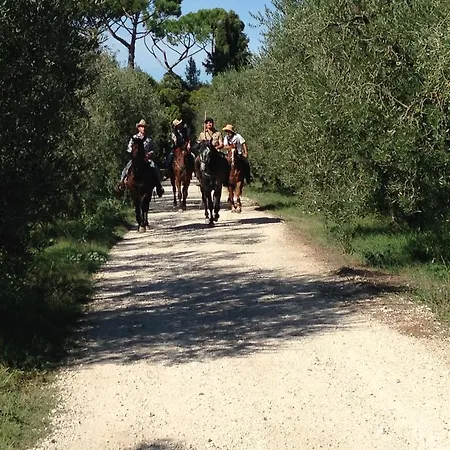 Fattoria Lucciano Feriegård