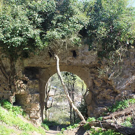 Feriegård Fattoria Lucciano *