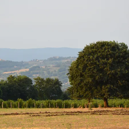 Farmház Fattoria Lucciano