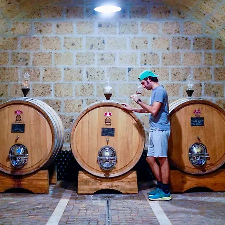Fattoria Lucciano *