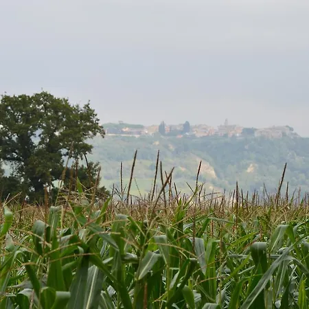 Fattoria Lucciano Borghetto (Lazio)