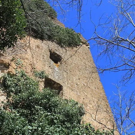 Fattoria Lucciano