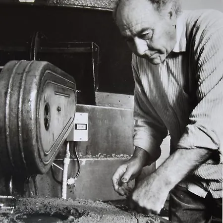 Fattoria Lucciano Borghetto (Lazio)