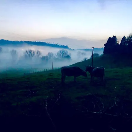 Fattoria Lucciano *