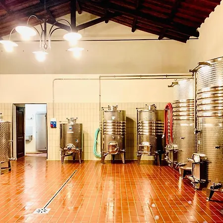 Fattoria Lucciano Feriegård Borghetto (Lazio)