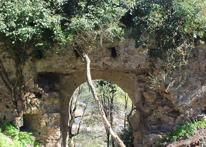 Feriegård Fattoria Lucciano *