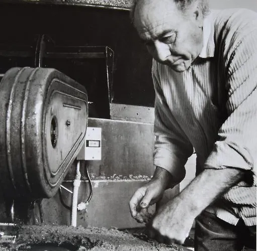 Fattoria Lucciano Borghetto (Lazio)